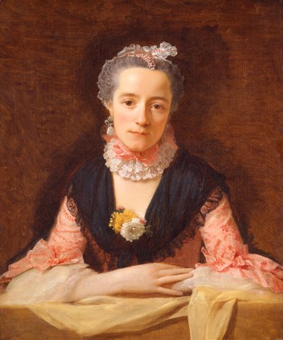 Lady in a Pink Silk Dress by Allan Ramsay